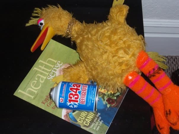 File:Carl passed out.jpeg